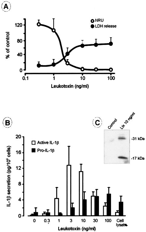 FIG. 1.