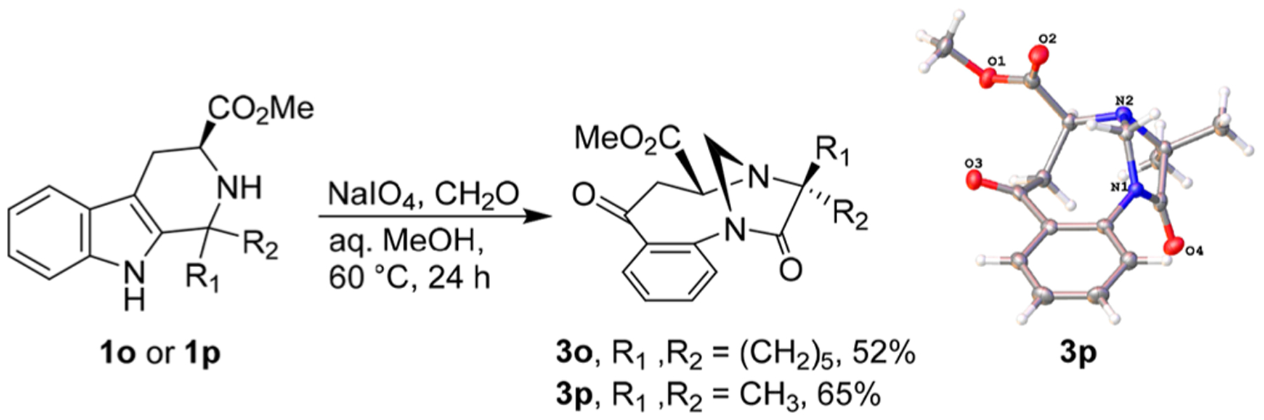 Scheme 5.