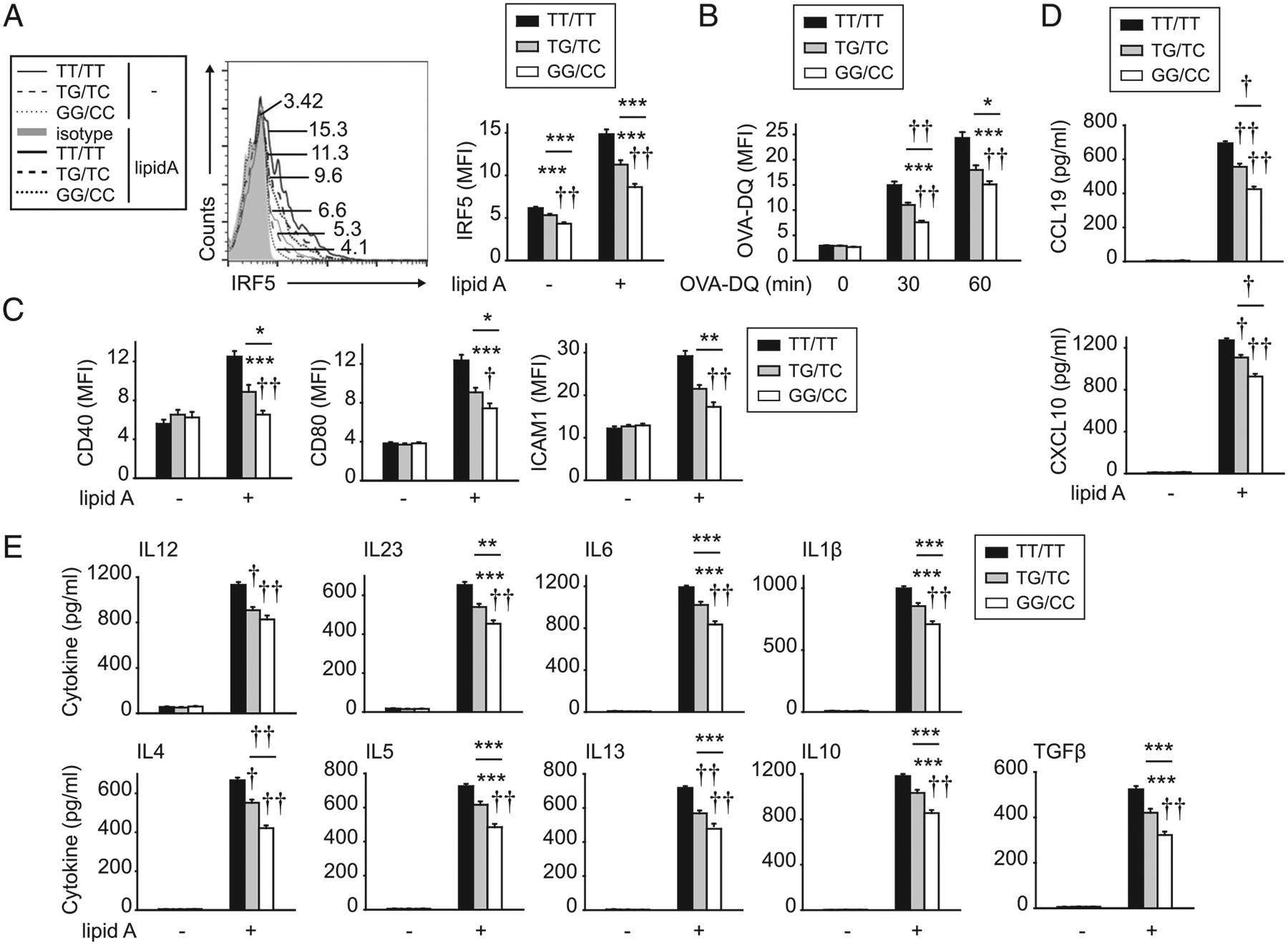 FIGURE 12.