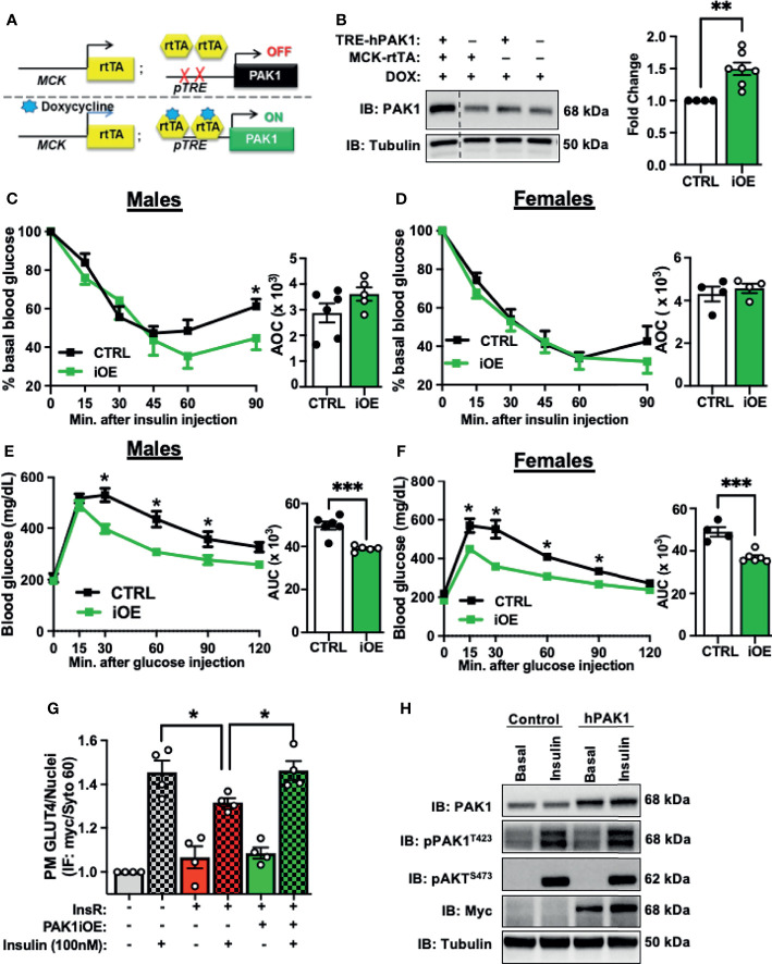 Figure 3