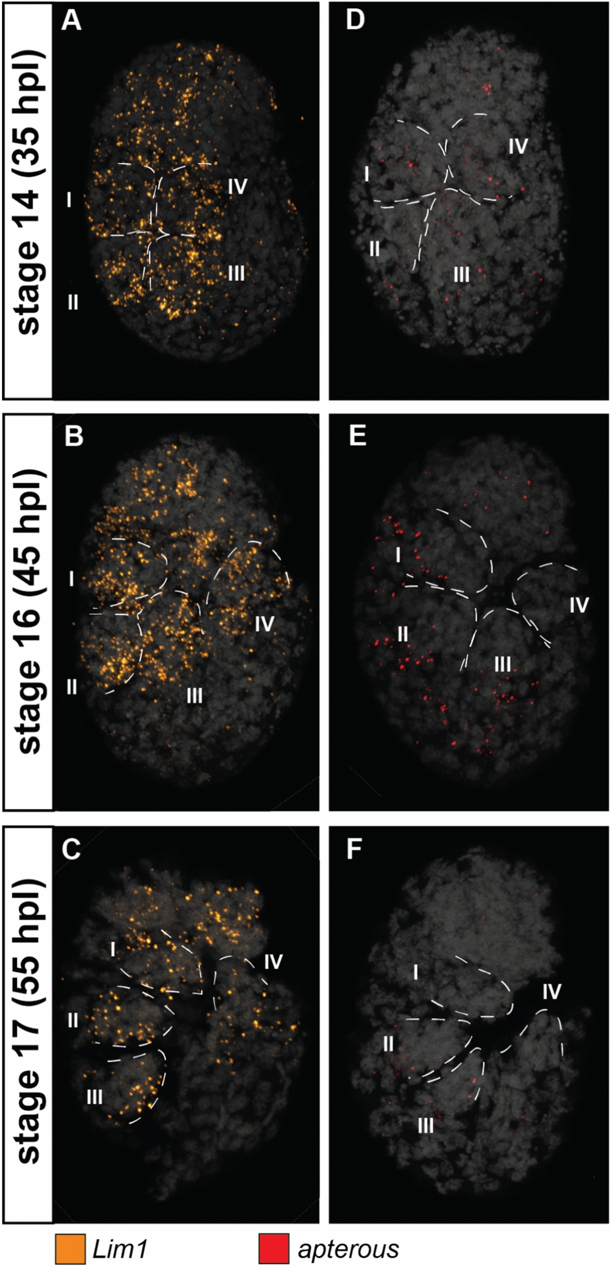 Fig. 4