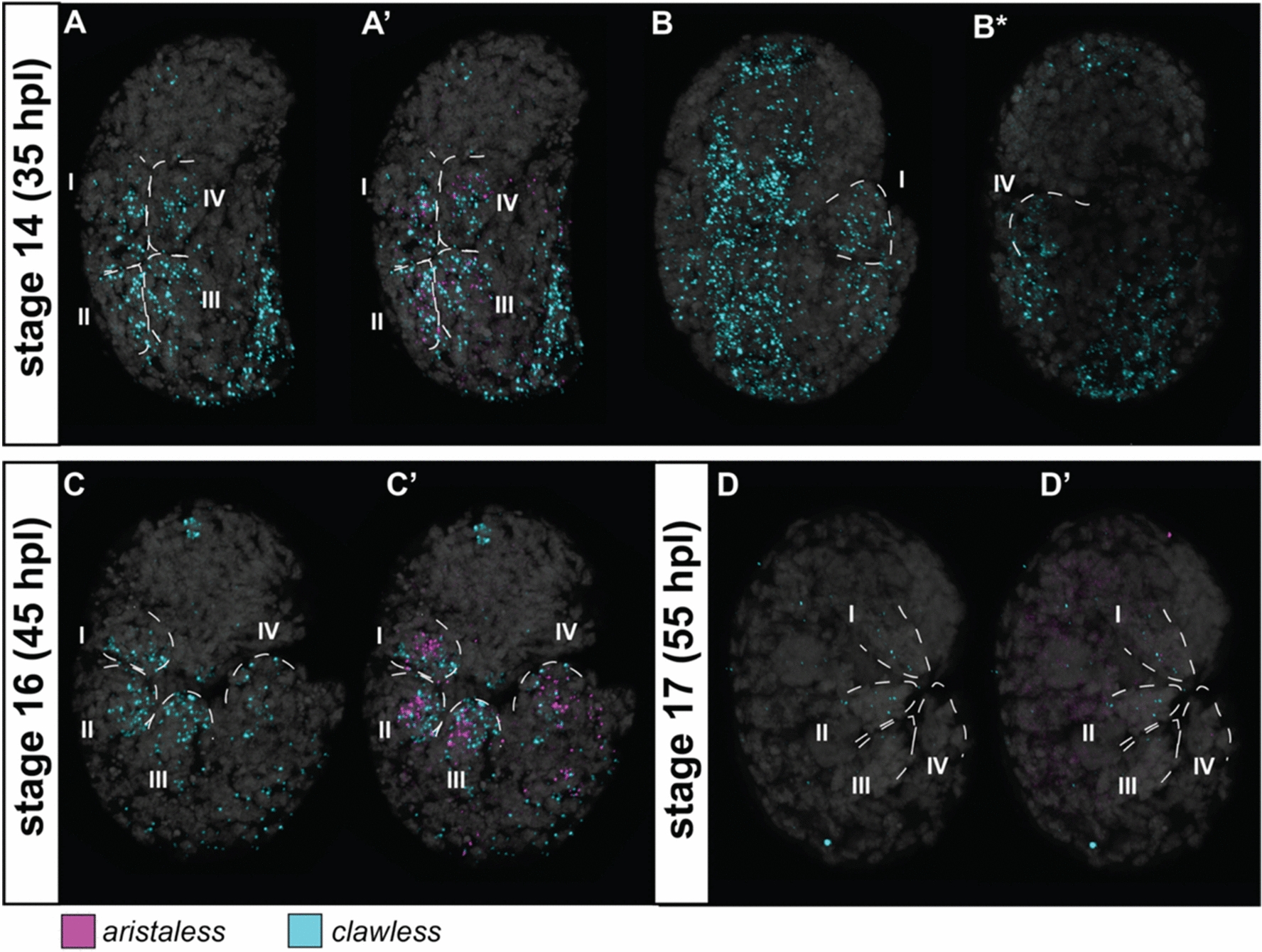 Fig. 3