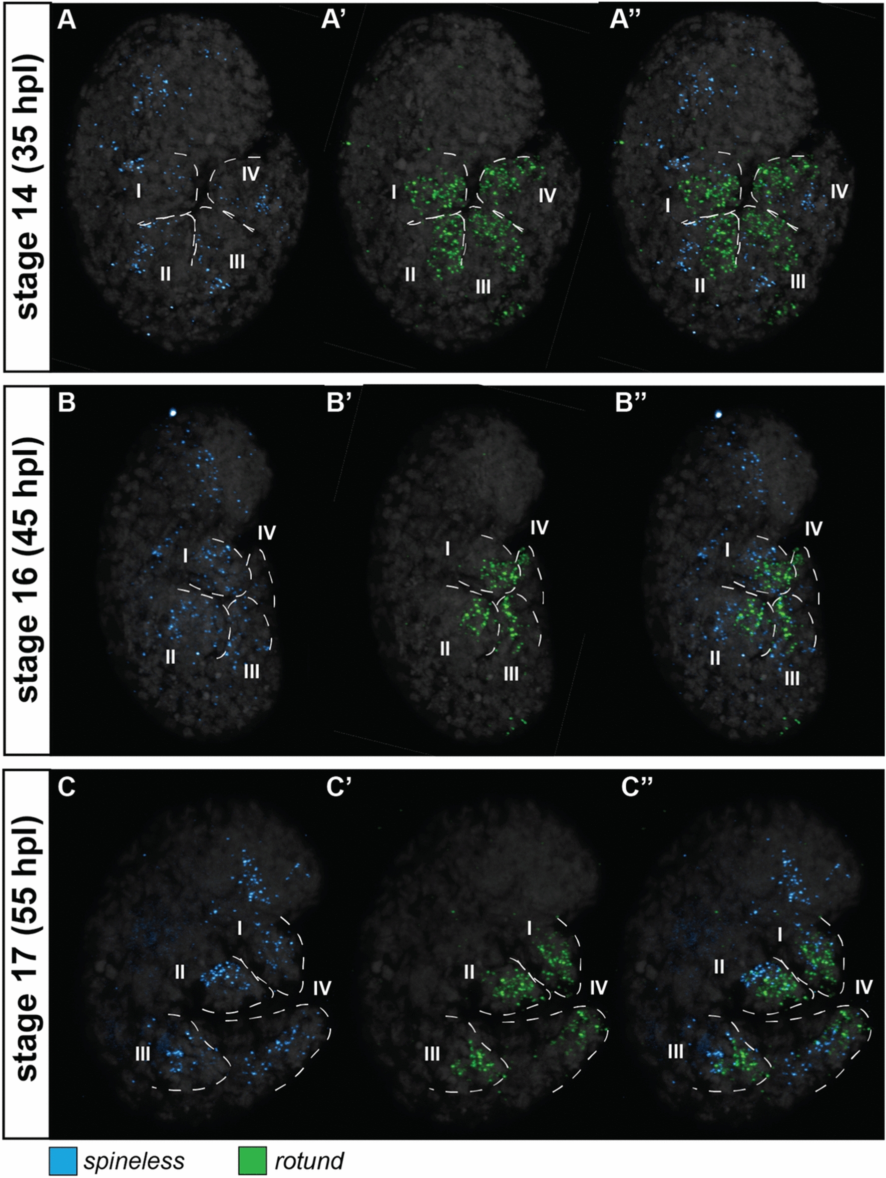 Fig. 6