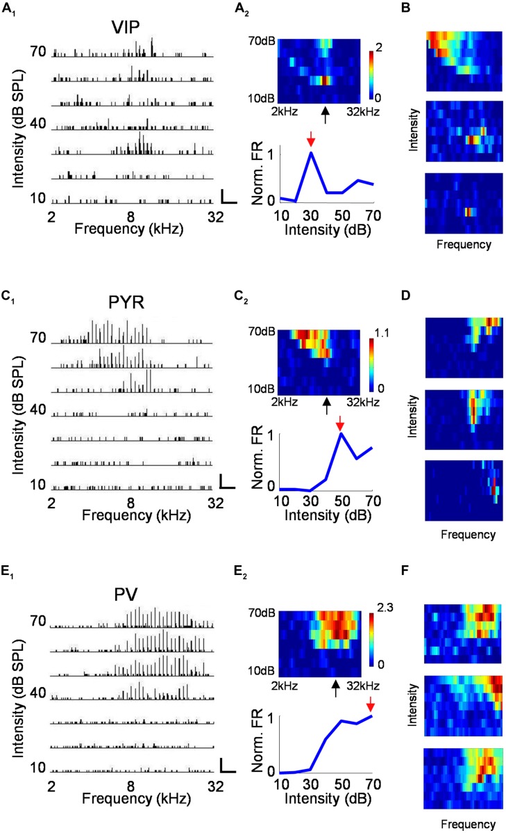 FIGURE 4