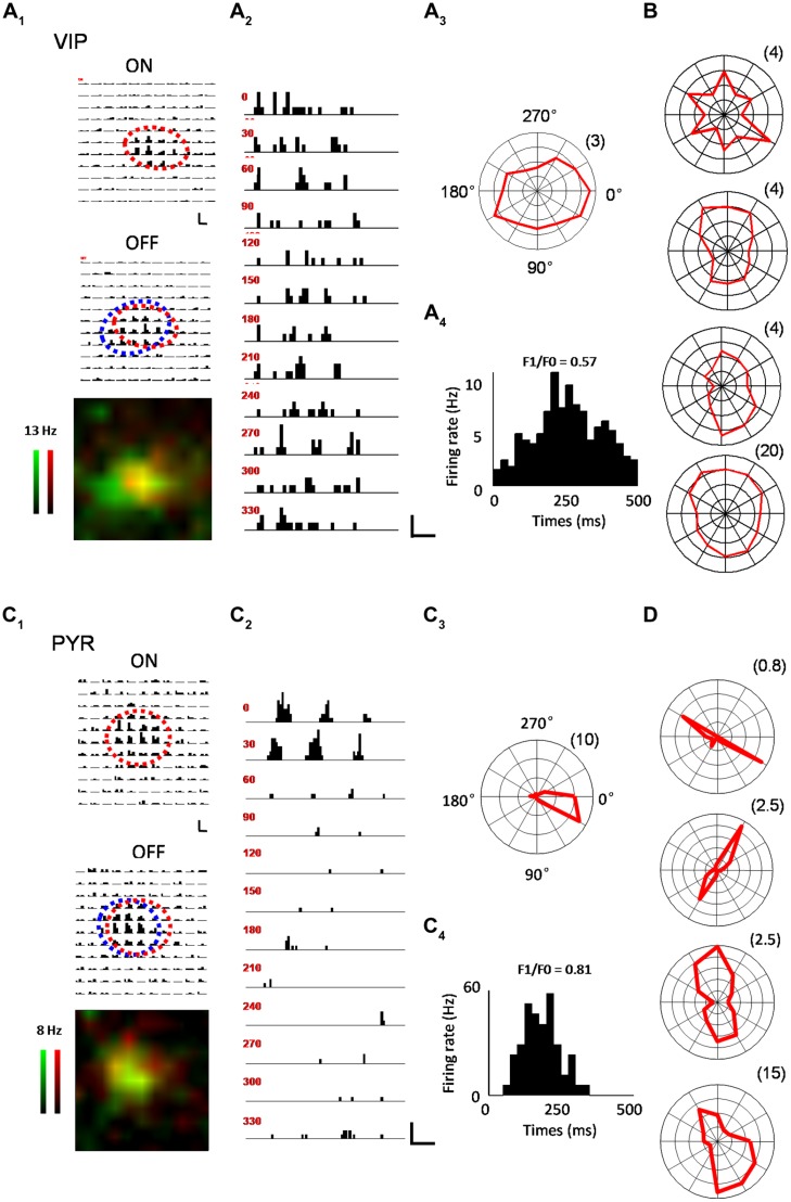 FIGURE 2