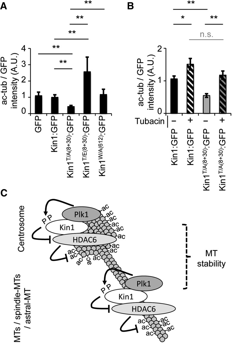 Figure 6