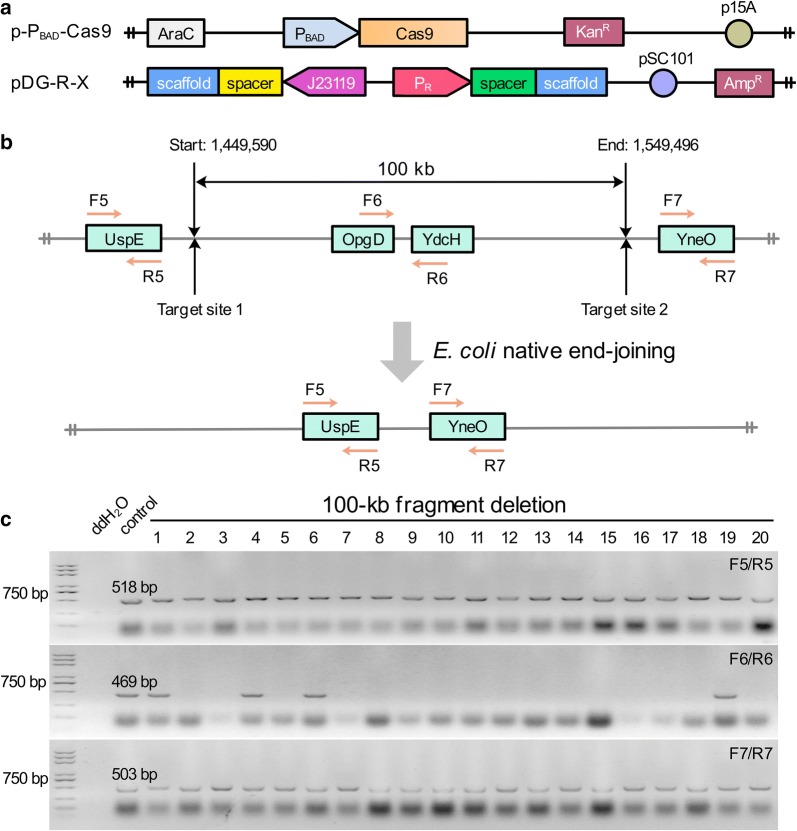 Fig. 6