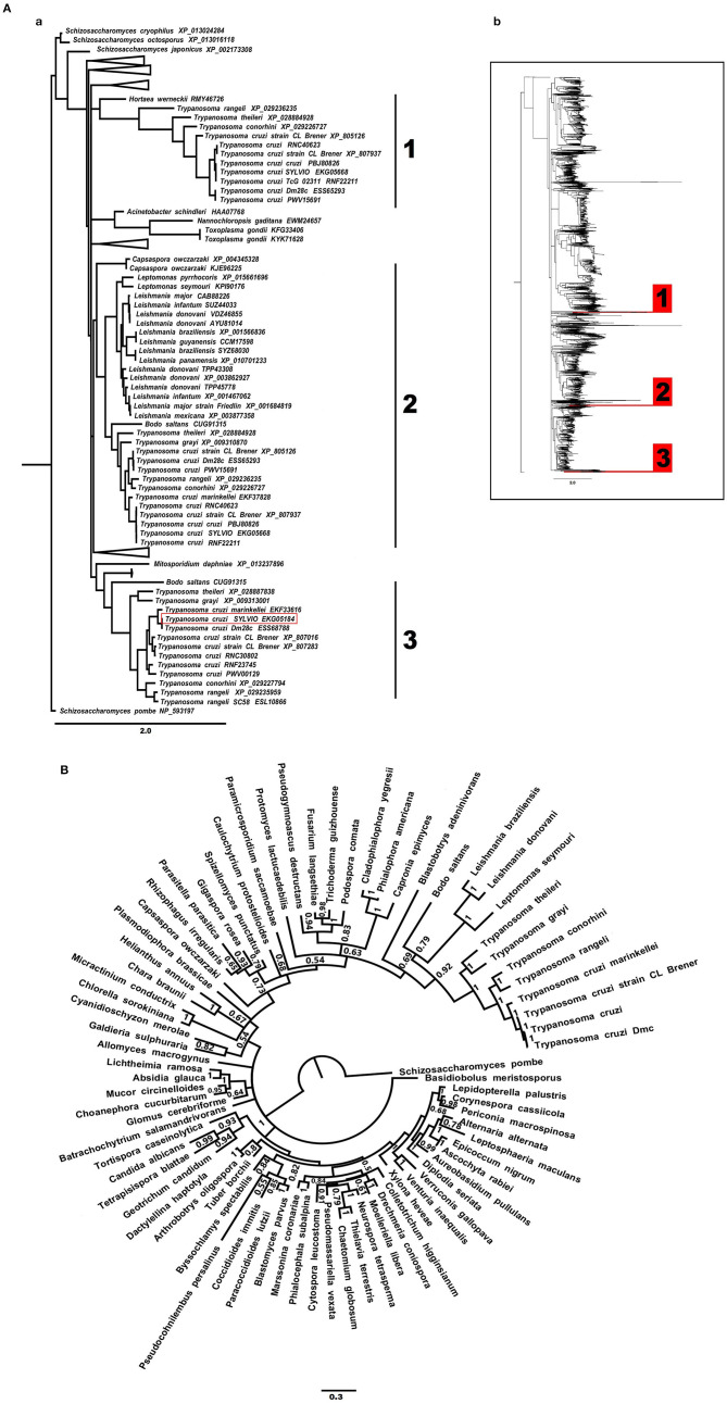 Figure 2