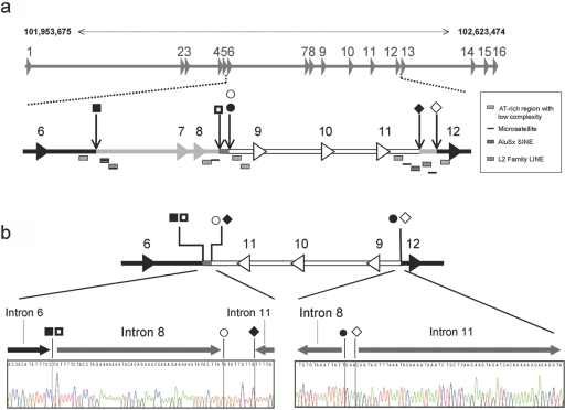 Figure  2. 