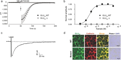 Figure  3. 