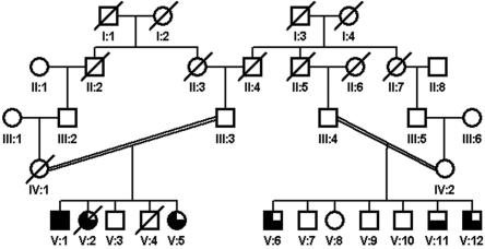 Figure  1. 