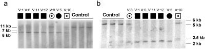 Figure  5. 