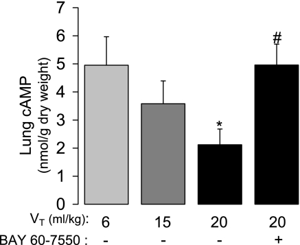 Fig. 9.