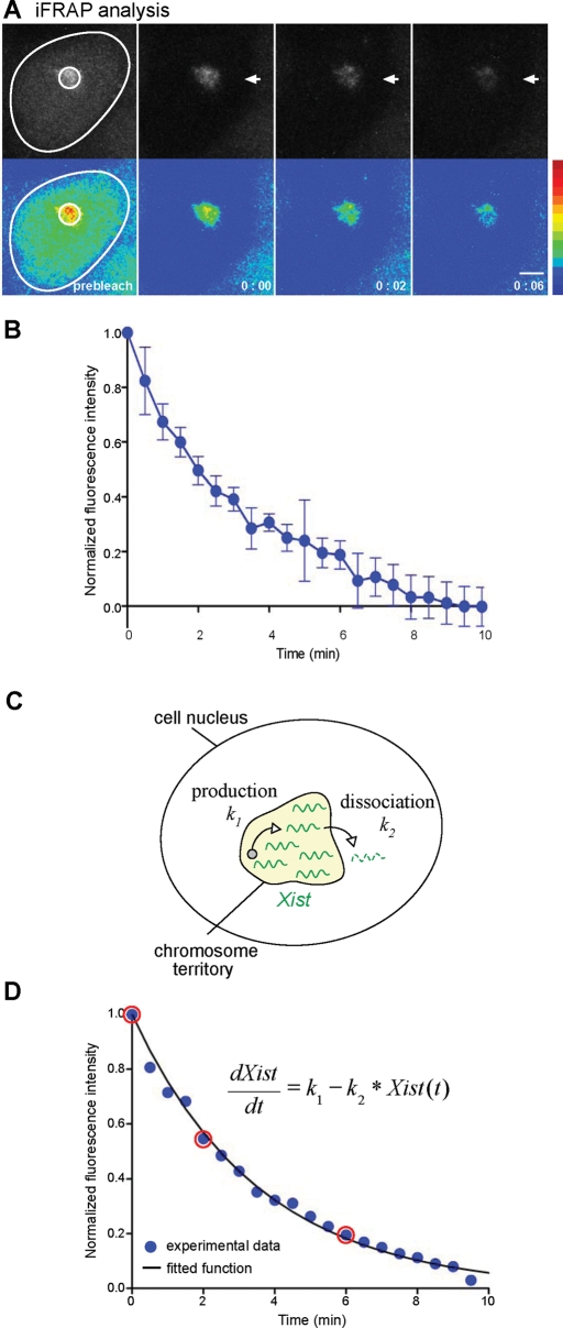 FIGURE 6: