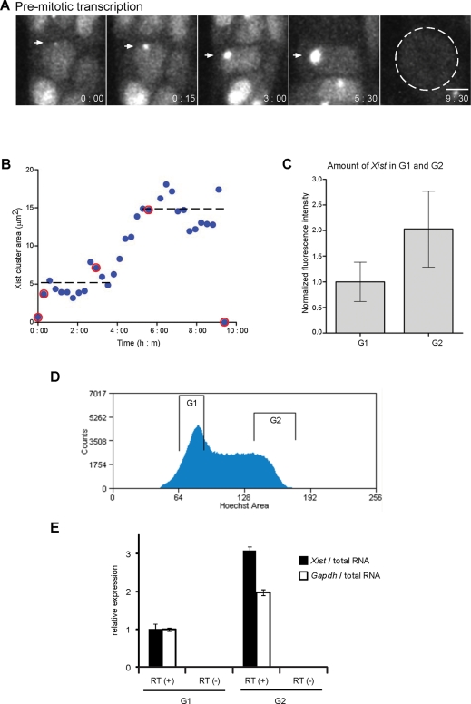 FIGURE 4: