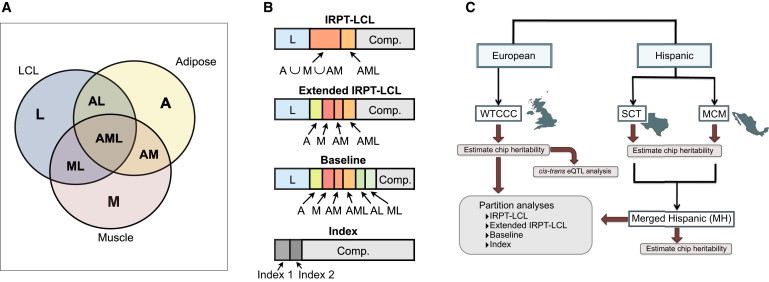 Figure 1