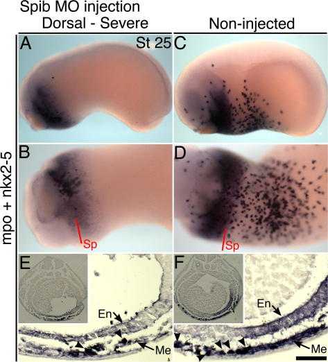 Supplementary Fig. 3