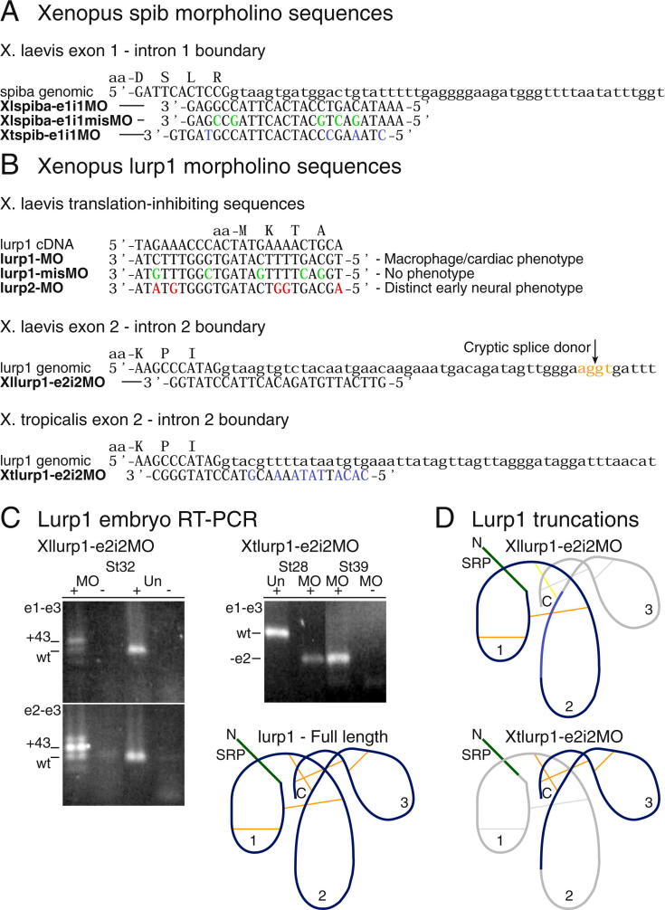 Supplementary Fig. 1