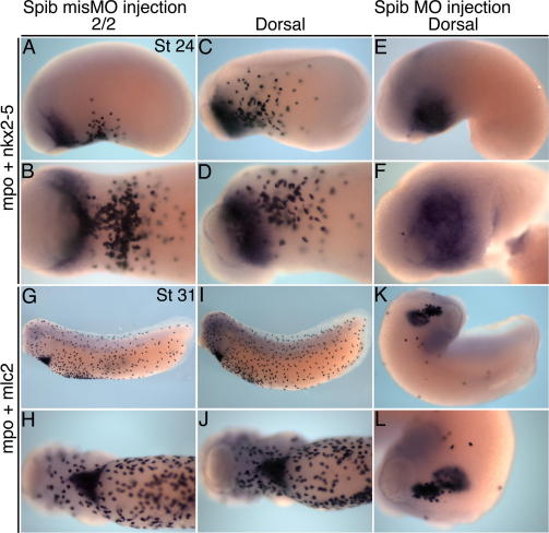 Supplementary Fig. 6