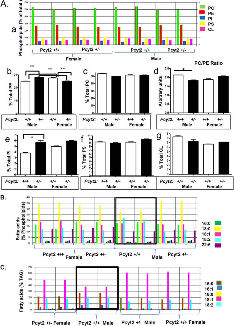 FIG 6