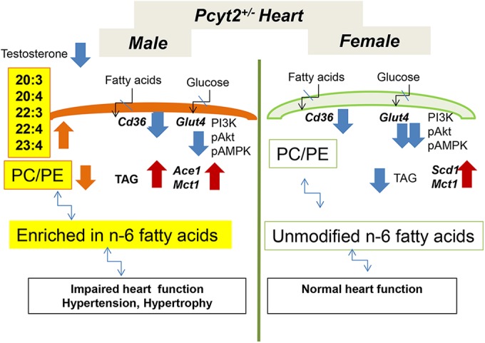 FIG 10