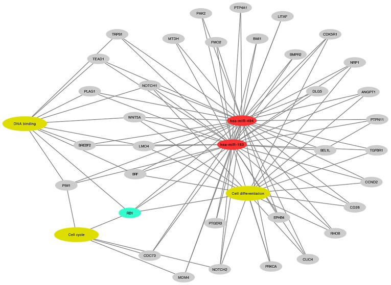 Figure 5.