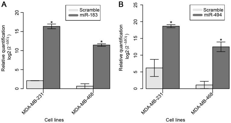 Figure 2.