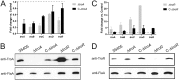 FIG 6