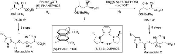 Scheme 4.