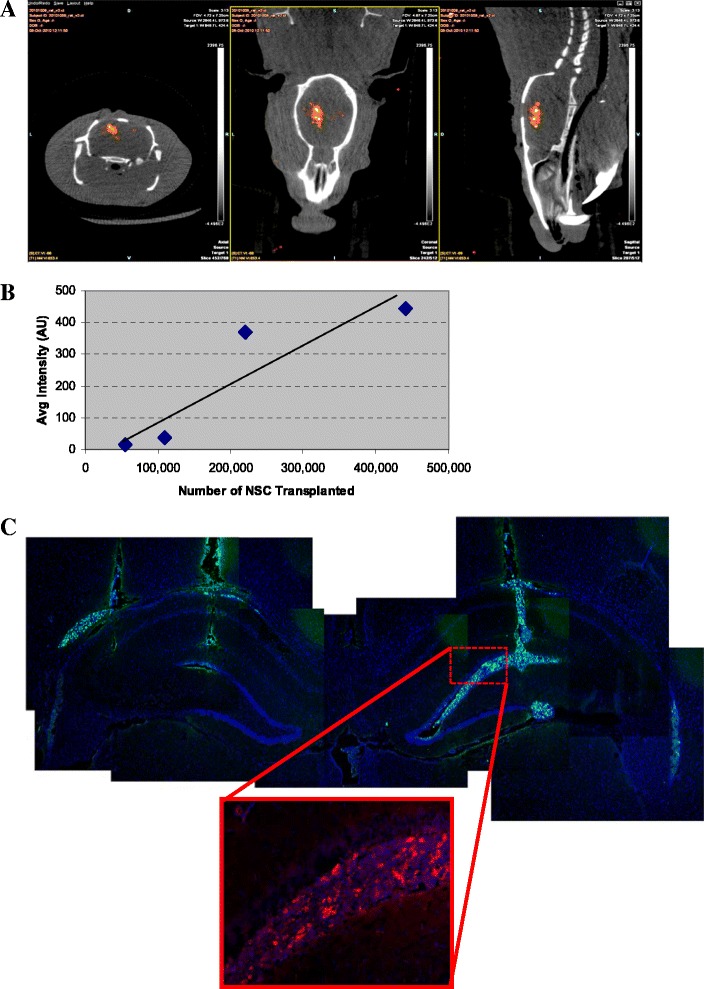 Fig. 6