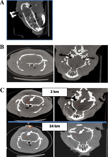 Fig. 7