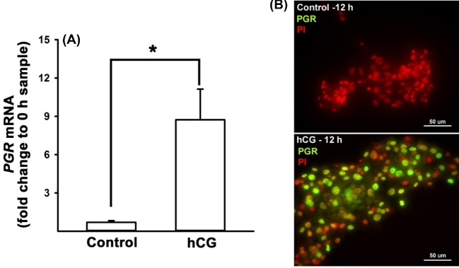 Figure 5.