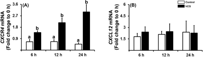 Figure 4.