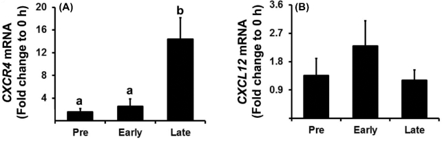 Figure 1.