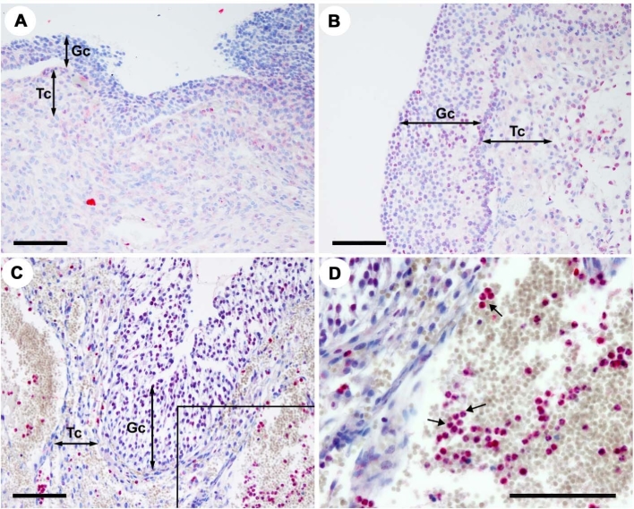 Figure 3.