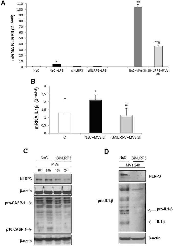 Fig 7