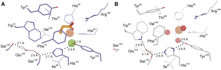 Figure 5