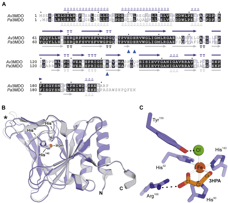 Figure 2