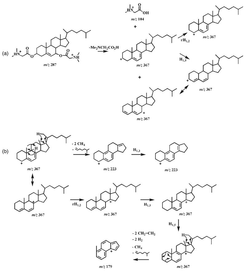 Scheme 4