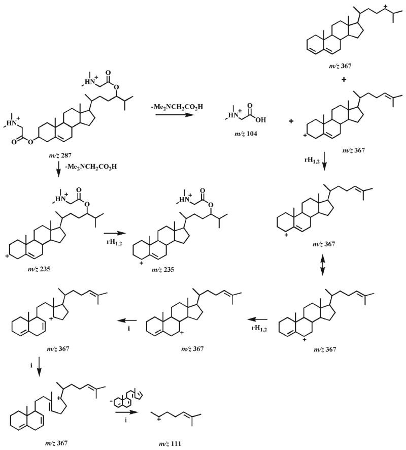 Scheme 5