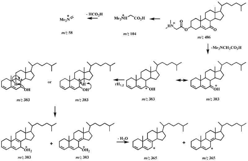 Scheme 2