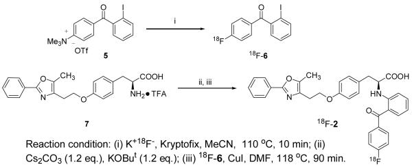 Scheme 2