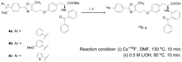 Scheme 1