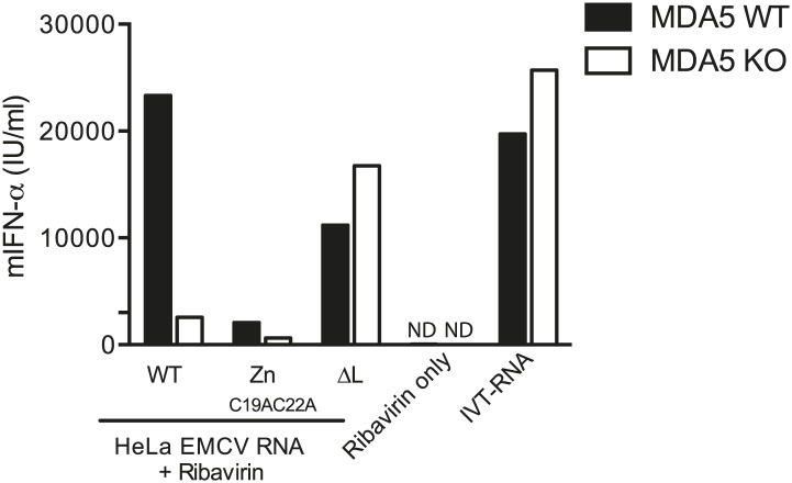 Figure 5—figure supplement 1.