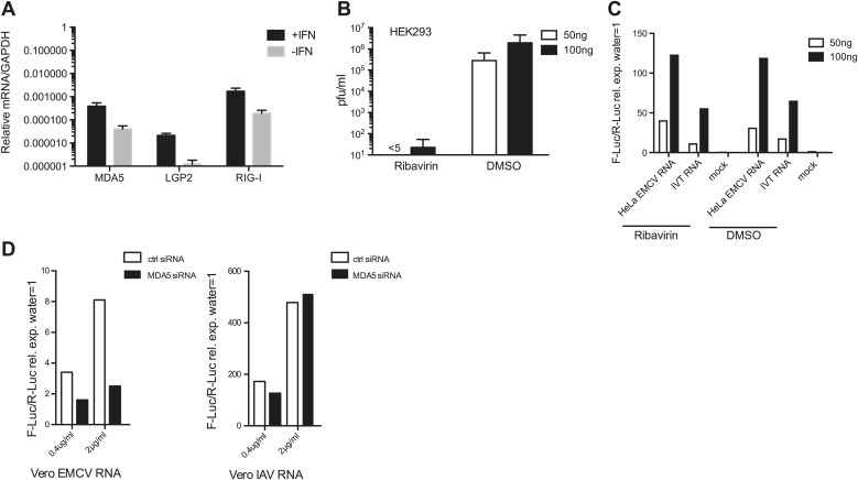 Figure 1—figure supplement 2.