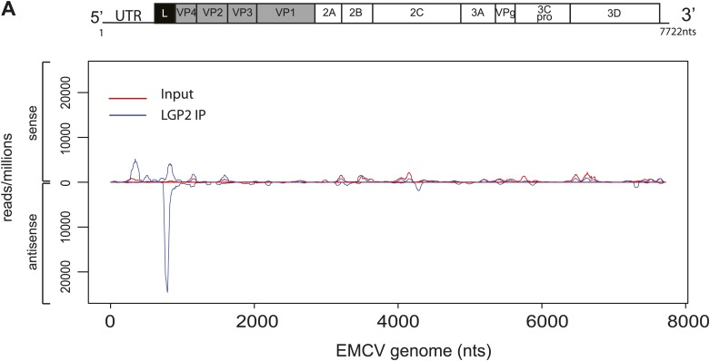 Figure 3—figure supplement 1.