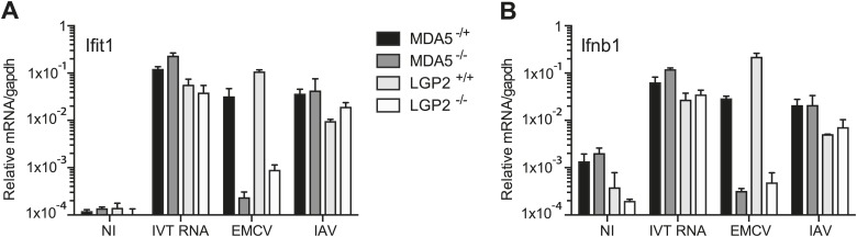 Figure 1—figure supplement 1.