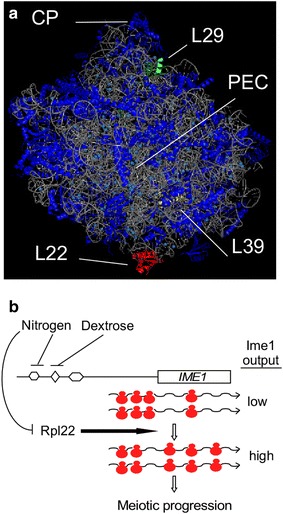 Fig. 7