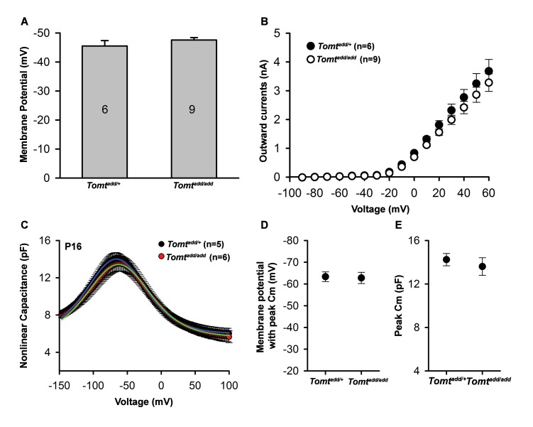 Figure 5—figure supplement 1.