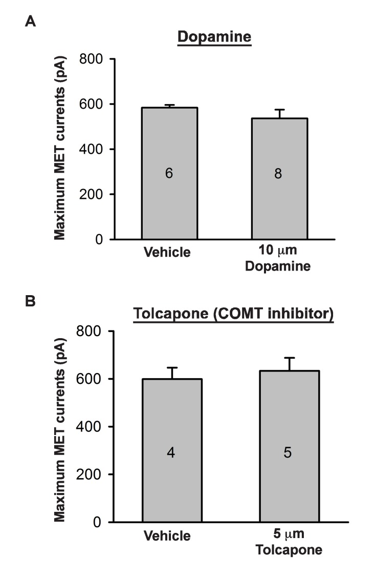 Figure 7—figure supplement 1.